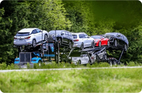 how much does open car shipping cost?